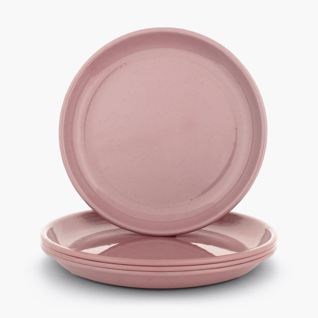 Rolled Enamelware Plate Set