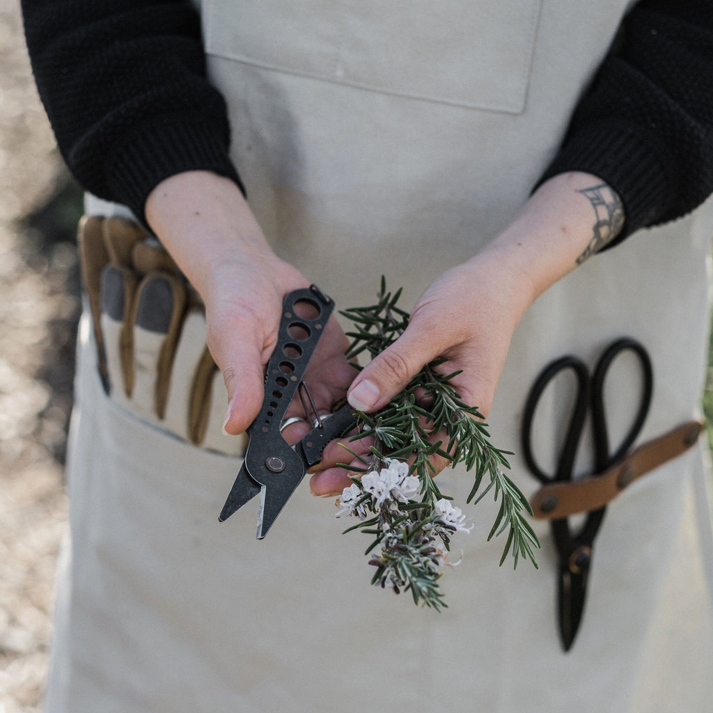 Herb Harvest and Strip Tool